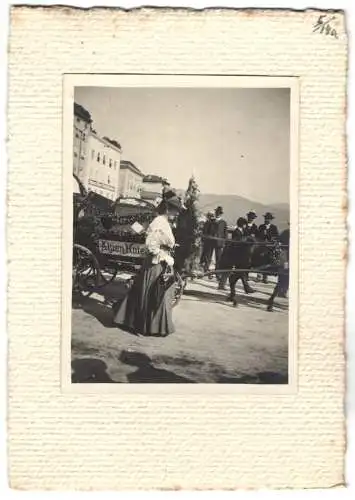 16 Fotografien unbekannter Fotograf, Ansicht Salzburg, Gestüt, Dult-Volksfest, Pferde f. Mailänder Ausstellung 1906