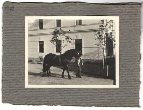 16 Fotografien unbekannter Fotograf, Ansicht Salzburg, Gestüt, Dult-Volksfest, Pferde f. Mailänder Ausstellung 1906