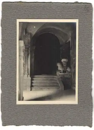 16 Fotografien unbekannter Fotograf, Ansicht Salzburg, Au bei Hellbrunn, Festzug Anthropologen Kongress 1905, u.a.