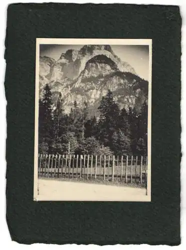 16 Fotografien unbekannter Fotograf, Ansicht Salzburg, Au bei Hellbrunn, Festzug Anthropologen Kongress 1905, u.a.