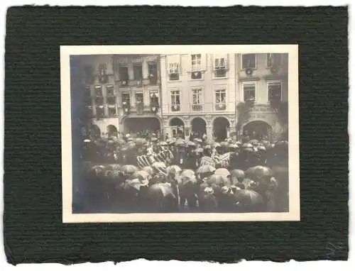 16 Fotografien unbekannter Fotograf, Ansicht Landshut, Stadtansichten mit Festumzug & Umgebung, Burg Trausnitz u.a.