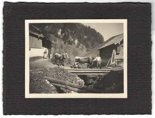 16 Fotografien unbekannter Fotograf, Ansicht Salzburg-Schallmoos, Parkanlage der Villa Baron Schwarz, u.a.