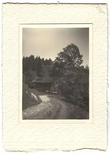 16 Fotografien unbekannter Fotograf, Ansicht Salzburg-Schallmoos, Parkanlage der Villa Baron Schwarz, u.a.