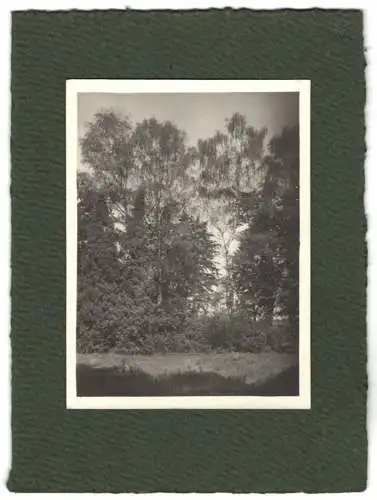 16 Fotografien unbekannter Fotograf, Ansicht Salzburg-Schallmoos, Parkanlage der Villa Baron Schwarz, u.a.