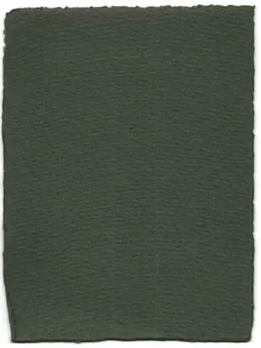 16 Fotografien unbekannter Fotograf, Ansicht Salzburg-Schallmoos, Parkanlage der Villa Baron Schwarz, u.a.