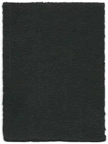 16 Fotografien unbekannter Fotograf, Ansicht Salzburg-Schallmoos, Parkanlage der Villa Baron Schwarz, u.a.