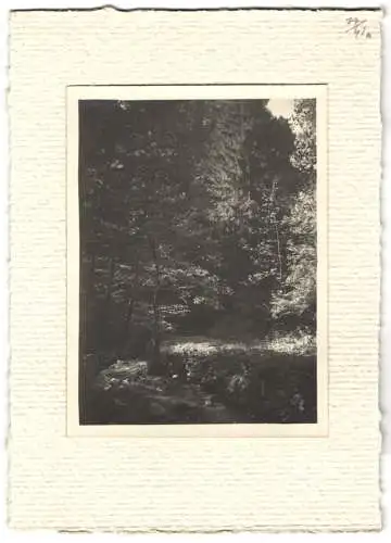 16 Fotografien unbekannter Fotograf, Ansicht Salzburg-Schallmoos, Parkanlage der Villa Baron Schwarz, u.a.