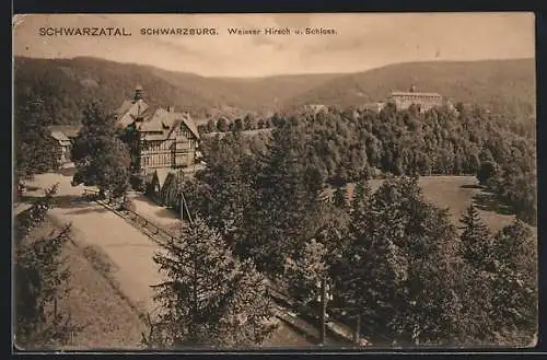 AK Schwarzburg, Weisser Hirsch und Schloss mit Anfahrtsstrasse