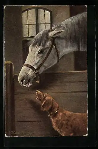 Künstler-AK August Müller - München: Pferd mit einem Hund
