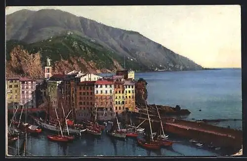 AK Camogli, il Porto