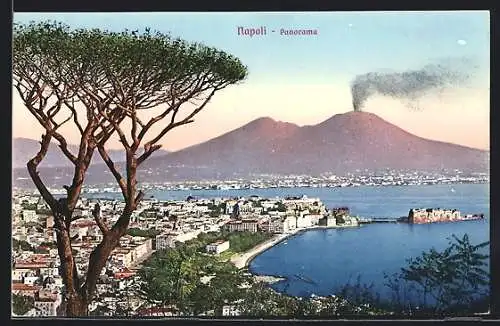 AK Napoli, Panorama