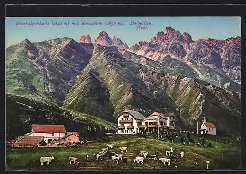 AK Seiseralpenhaus, Hochalm mit Rosszähnen, grasende Kühe