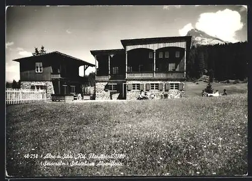 AK Schutzhaus Alpenflora im Frühjahr bei begrünter Wiese