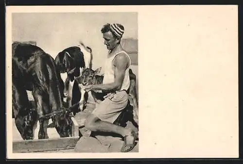 AK A Kvutzah Idyll, Ein jüdischer Mann mit Kühen