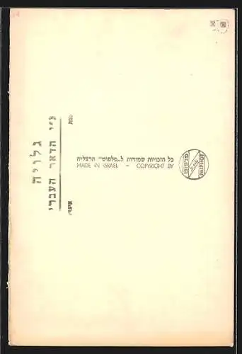 AK Safad, Ari Synagogue, Interior