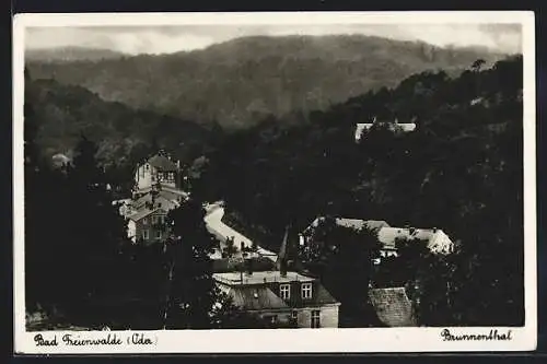 AK Bad Freienwalde, Blick auf das Brunnenthal