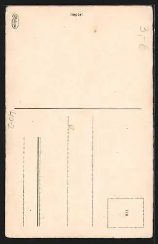 AK Gräfin Zeppelin, Frau hebt mit Propeller am Hintern ab, Mann winkt erfreut zum Abschied, frauenfeindlicher Humor