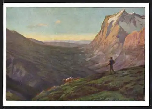 AK Vallee de Grindelwald, Tal von Grindelwald, Kuhhirte, Bergpanorama