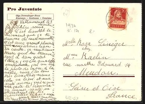 Künstler-AK Pro Juventute, Enzianen, Stilleben