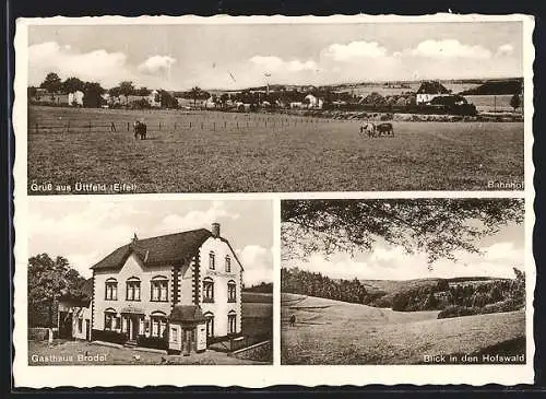 AK Üttfeld /Eifel, Gasthaus Brodel, Blick in den Hofswald, Ortspanorama