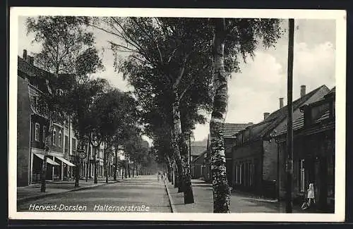 AK Hervest-Dorsten, Halternerstrasse mit Geschäften