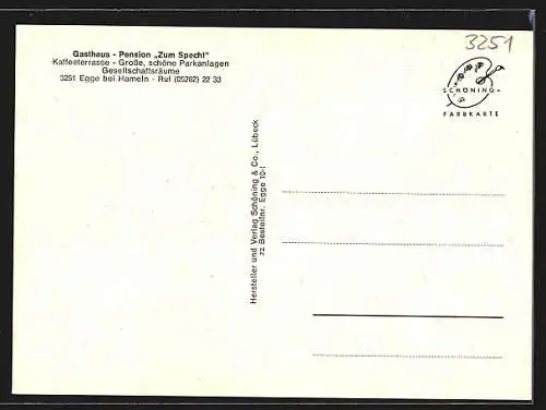 AK Egge bei Hameln, Gasthaus und Pension Zum Specht, Ortsansicht
