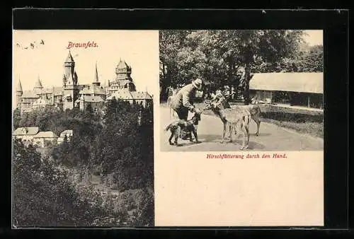 AK Braunfels, Schloss, Hirschfütterung durch den Hund