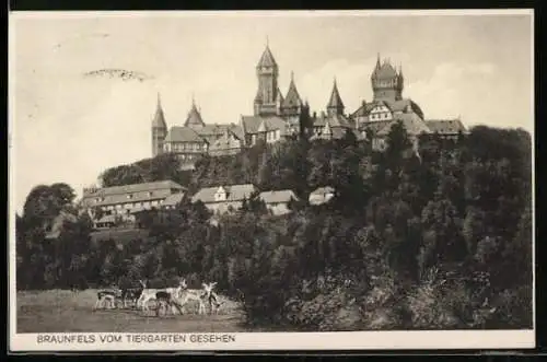 AK Braunfels, Schloss vom Tiergarten gesehen