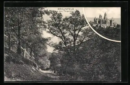 AK Braunfels, Schlos, Partie aus dem Tiergarten