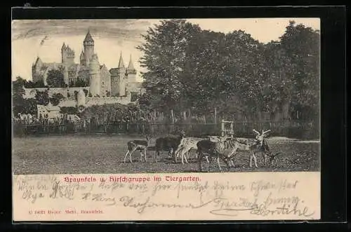 AK Braunfels, Hirschgruppe im Tiergarten, Blick zum Schloss