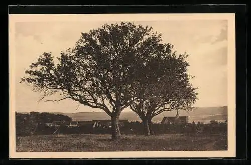 AK Altenberg bei Wetzlar, Hofgut Altenberg der Buderus`schen Eisenwerke Wetzlar, Ortspartie mit Bäumen