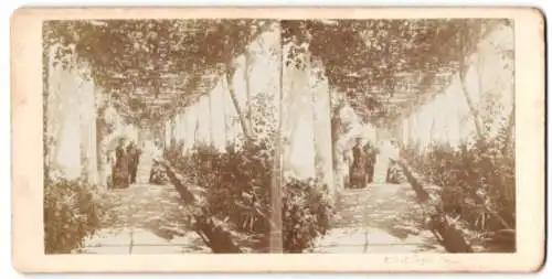 Stereo-Fotografie unbekannter Fotograf, Ansicht Amalfi, Weinlaubengang im Hotel Cappuccini, 1899