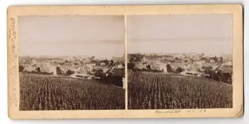 Stereo-Fotografie Robert Logle, Ansicht Neuchatel, Blick über die Felder nach der Stadt