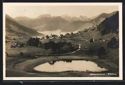 AK Schönenbodensee-Wildhaus, Ortsansicht mit Kirche aus der Vogelschau