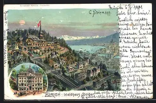 Künstler-AK C. Steinmann: Zürich, Waldhaus Dolder