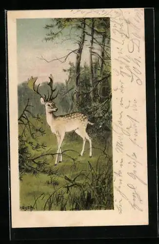Künstler-AK Arthur Heyer: Rehbock steht im Wald