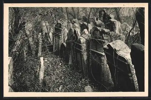 AK Praha, Jüdischer Friedhof