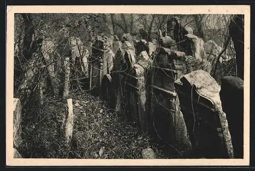 AK Praha, Jüdischer Friedhof