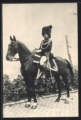 AK Belgique, Fête Militaire du Centenaire, 7. Officier de Gendarmerie 1914