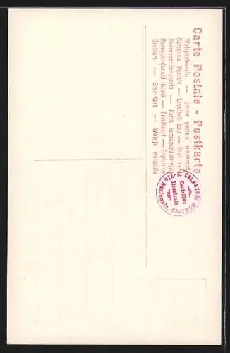 Künstler-AK Italienischer General in Uniform mit Degen