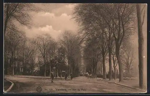 AK Verviers, Rue du Parc