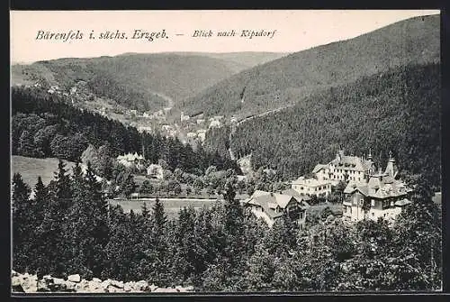 AK Bärenfels i. sächs. Erzgeb., Blick nach Kipsdorf