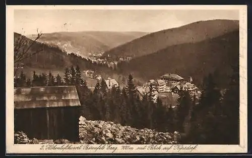 AK Bärenfels / Erzgeb., Blick auf Kipsdorf