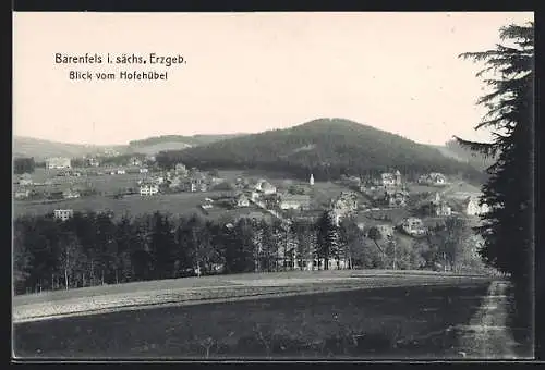 AK Bärenfels / Erzgeb., Blick vom Hofehübel