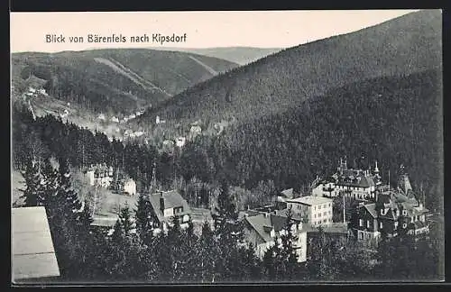 AK Bärenfels / Erzgeb., Blick nach Kipsdorf