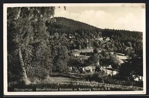 AK Bärenfels / Erzgeb., Ortsansicht mit Spitzberg