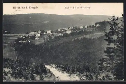 AK Bärenfels / Erzgeb., Blick vom Schönfelder Steig