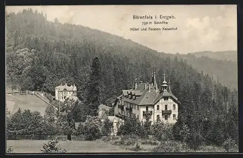 AK Bärenfels i. Erzgeb., Hotel-Pension Kaiserhof