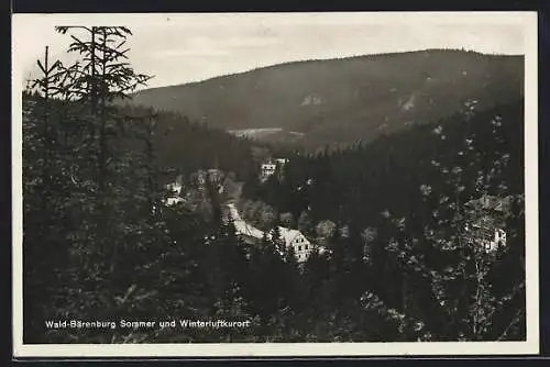 AK Wald-Bärenburg / Erzgeb., Ortsansicht aus der Vogelschau