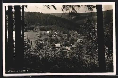 AK Wildenthal i. Erzgeb., Ortsansicht aus der Vogelschau